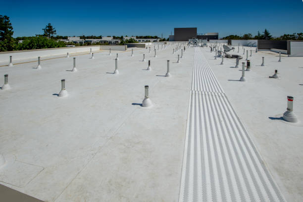Best Roof Leak Repair  in Selmont West Selmont, AL